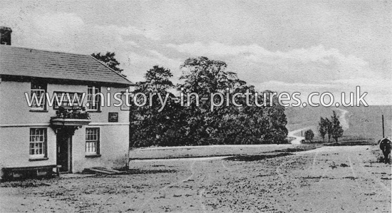 Ye Olde Harold's Head, Nazeing Common, Essex. c.1912